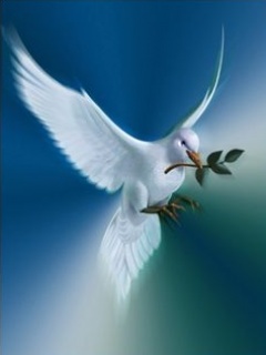 Tapety na komórke - Dove_Of_Peace.jpg