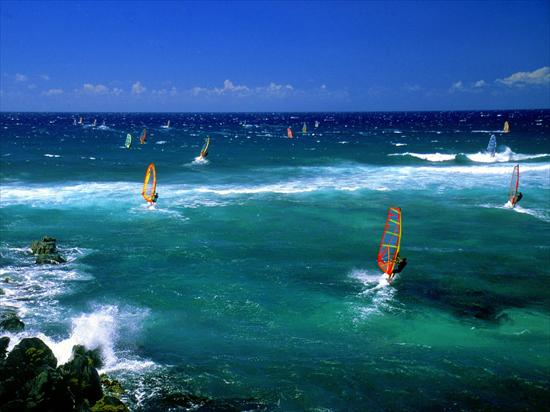  Landscapes różne - Windsurfers, Maui.jpg