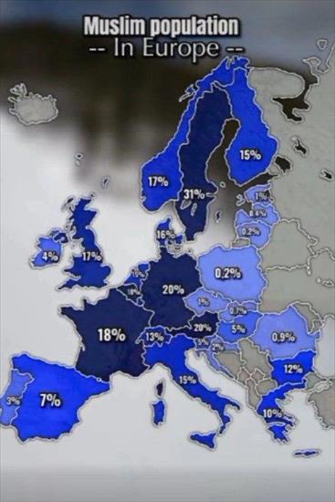 Publicystyka - Populacja islamistów w Europie.jpg