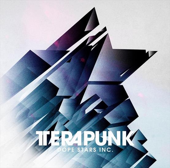 2015 - TeraPunk - cover.jpg