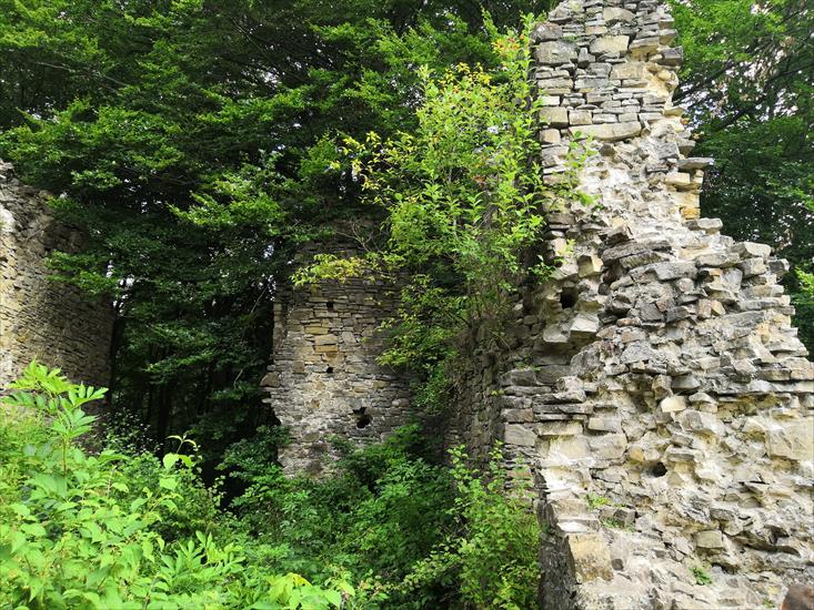 ruiny zamku Sobień - u.jpg