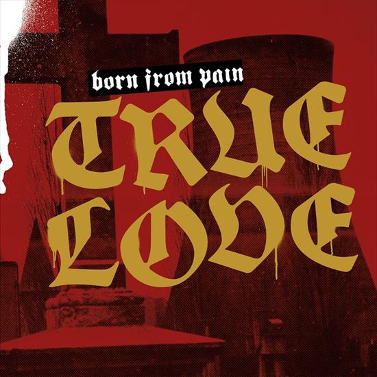 Born From Pain - True Love  20193 track - folder.jpg
