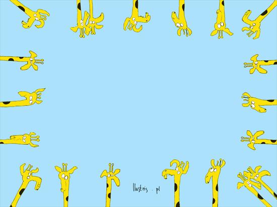 żyrafy - Żyrafki.bmp